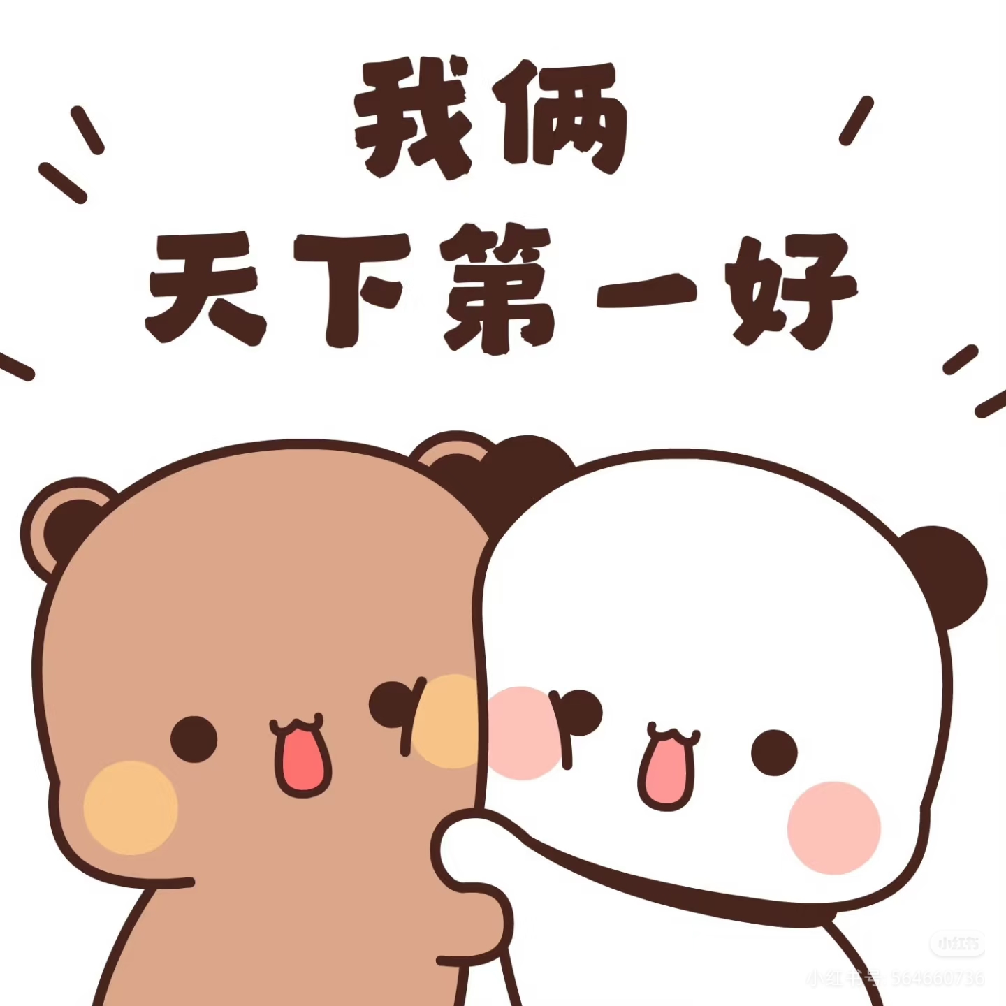 作者头像